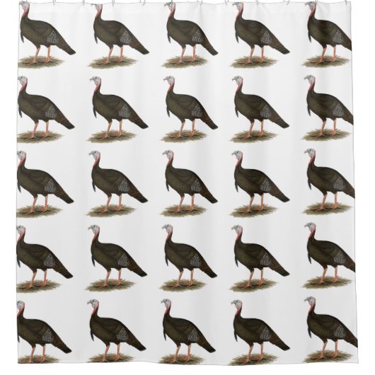 Turkije: Oost-wilde Tom Douchegordijn (Voorkant)