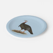 Turkije: Oost-wilde Tom Papieren Bordje (Gekanteld)