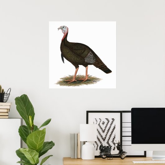 Turkije: Oost-wilde Tom Poster (Thuiskantoor)