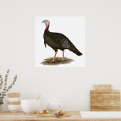 Turkije: Oost-wilde Tom Poster (Keuken)