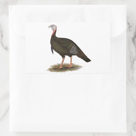 Turkije: Oost-wilde Tom Rechthoekige Sticker (Tas)