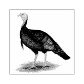 Turkije: Oost-wilde Tom Rubberstempel (Afrduk)