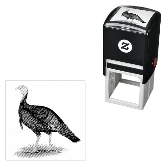 Turkije: Oost-wilde Tom Zelfinktende Stempel (In situ)