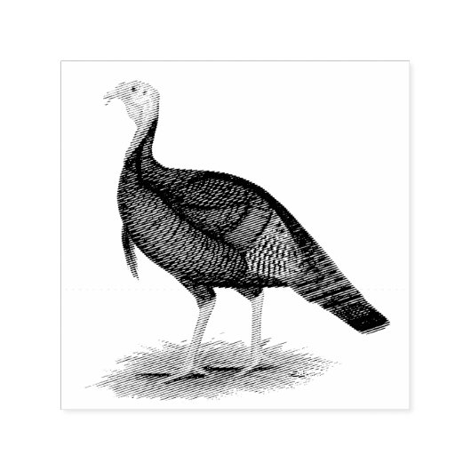 Turkije: Oost-wilde Tom Zelfinktende Stempel (Design)