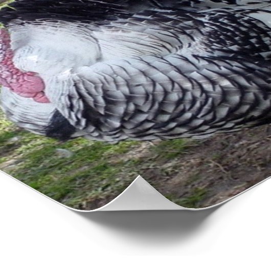 Turkije Poster Print (Hoek)