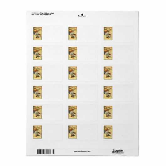 Turkije Pumpkin Corn Grapes Apple Haystack Etiket (Full Sheet)