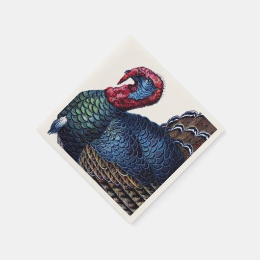 Turkije Servet (Hoek)