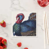 Turkije Servet (Insitu)