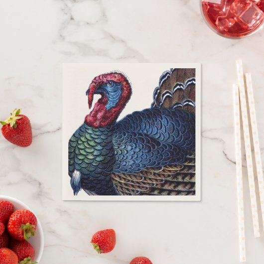 Turkije Servet (Insitu)