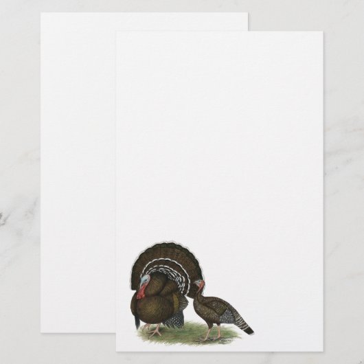 Turkije Standard Bronze Briefpapier (Voorkant / Achterkant)