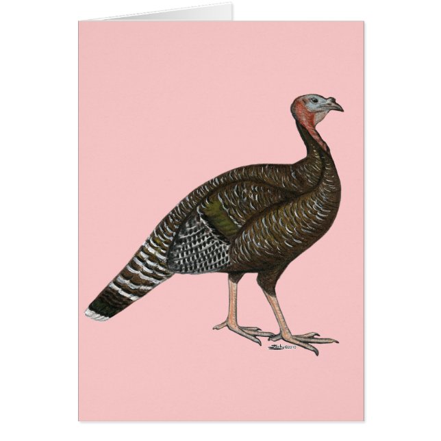 Turkije: Standard Bronze Hen (Voorkant)