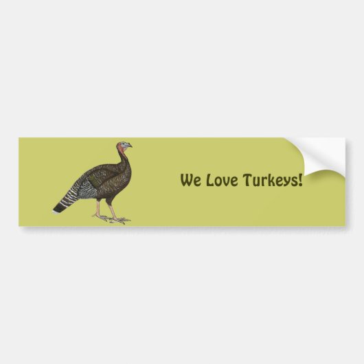 Turkije: Standard Bronze Hen Bumpersticker (Voorkant)