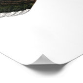 Turkije: Standard Bronze Hen Poster (Hoek)