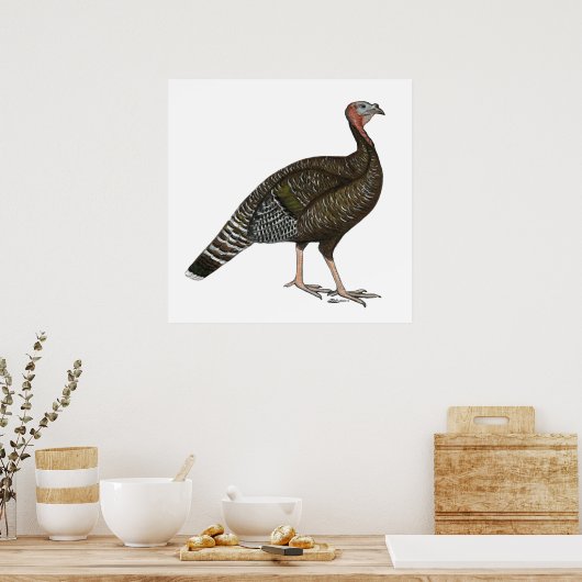 Turkije: Standard Bronze Hen Poster (Keuken)