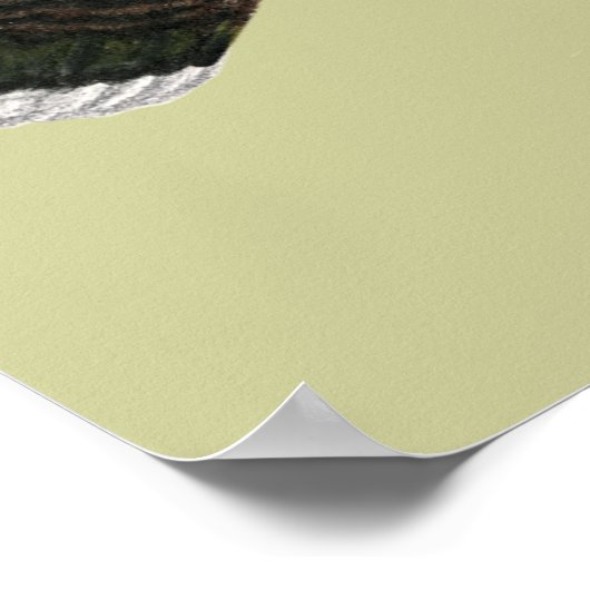 Turkije: Standard Bronze Hen Poster (Hoek)