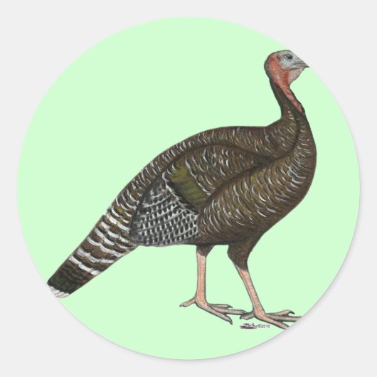 Turkije: Standard Bronze Hen Ronde Sticker (Voorkant)
