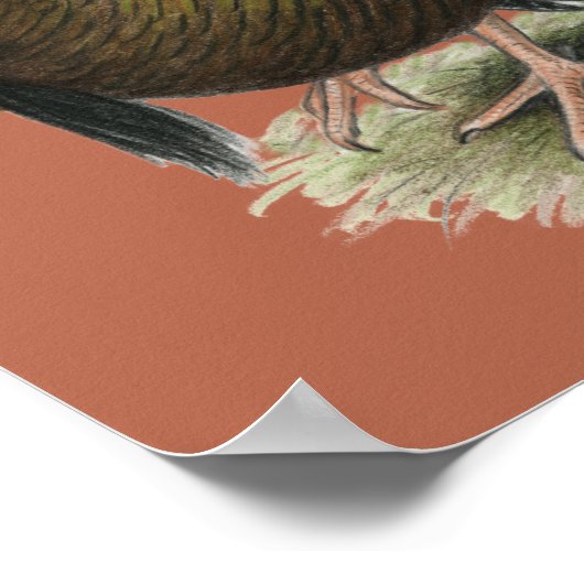 Turkije Standard Bronze Poster (Hoek)