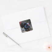 Turkije Sticker (Envelop)