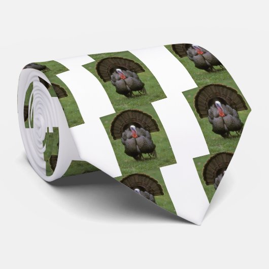 Turkije Stropdas (Opgerold)