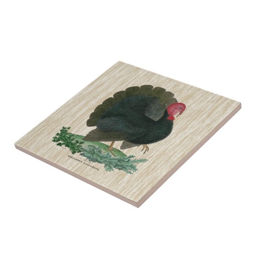  Turkije Tegeltje (Zijkant)