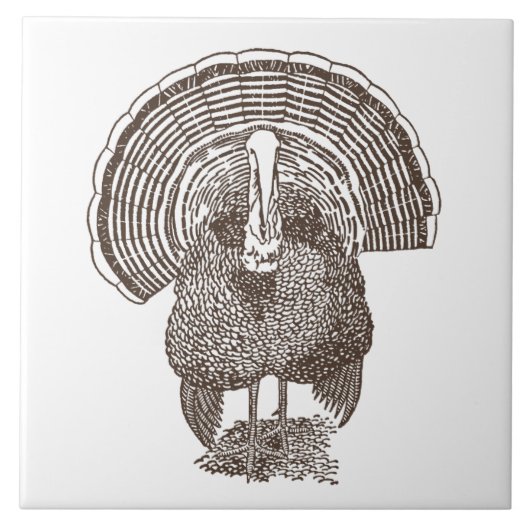 Turkije Tegeltje (Voorkant)