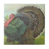 Turkije Tegeltje (Voorkant)