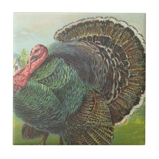 Turkije Tegeltje (Voorkant)