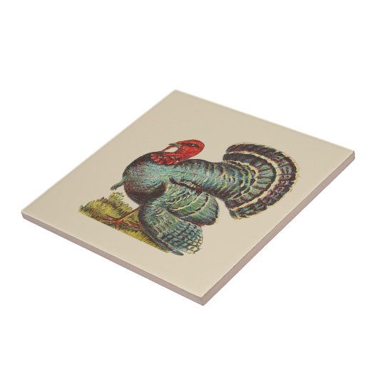  Turkije Tegeltje (Zijkant)