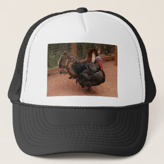 turkije , Thanksgiving Trucker Pet