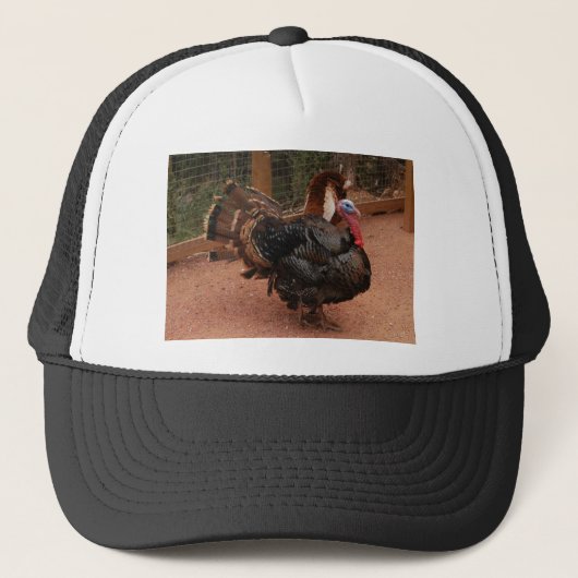 turkije , Thanksgiving Trucker Pet (Voorkant)