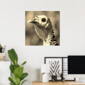 Turkije van dichtbij en persoonlijk 24 x 24 poster (Thuiskantoor)