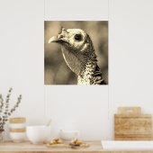 Turkije van dichtbij en persoonlijk 24 x 24 poster (Keuken)