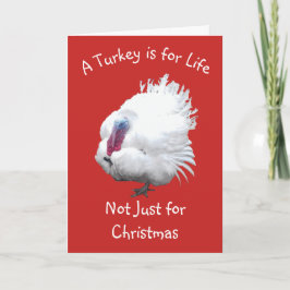 Turkije Vegan Kerstmis Kaart