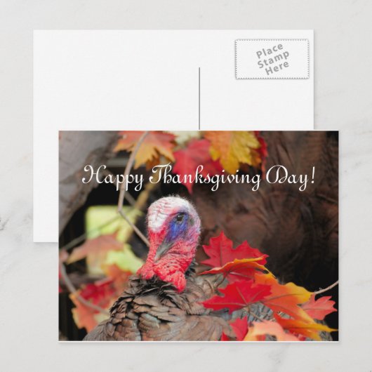 Turkije verlaat Thanksgiving Feestdagenkaart (Voorkant / Achterkant)