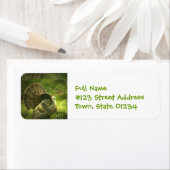 Turkije Verzendlabels Etiket (Insitu)