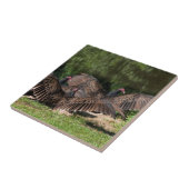 Turkije vult zich met spreide vleugels tegeltje (Zijkant)