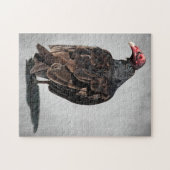 TURKIJE VULTURE LEGPUZZEL (Horizontaal)