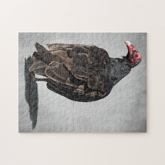 TURKIJE VULTURE LEGPUZZEL (Horizontaal)