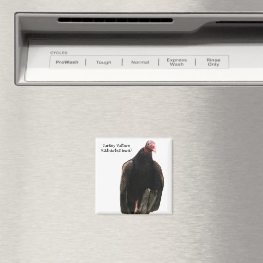 Turkije Vulture Magneet (Insitu (Vaatwasser))