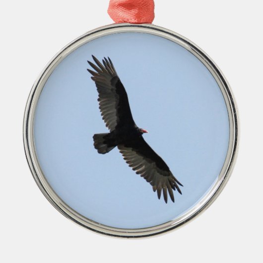 Turkije Vulture Metalen Ornament (Voorkant)