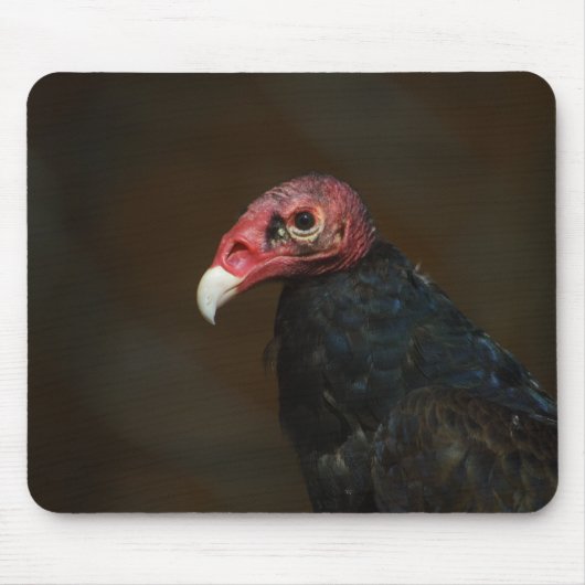 Turkije Vulture Muismat (Voorkant)