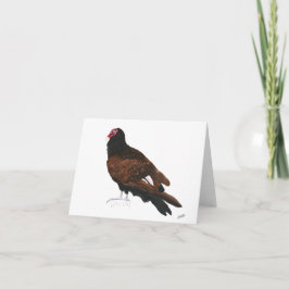Turkije Vulture Notitiekaartje