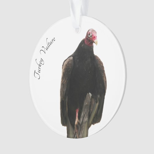 Turkije Vulture Ornament (voorkant)