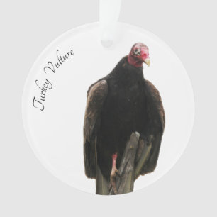 Turkije Vulture Ornament