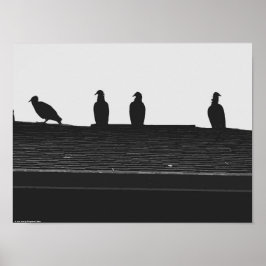 Turkije Vulture, Poster