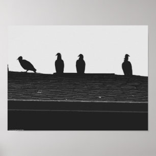 Turkije Vulture, Poster