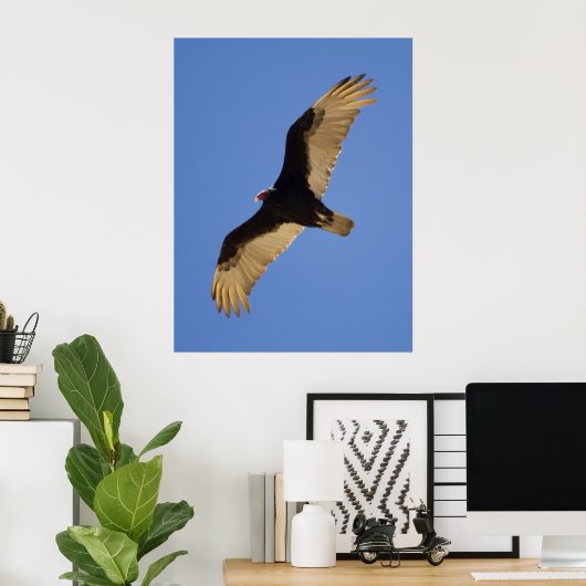 Turkije Vulture Poster (Thuiskantoor)