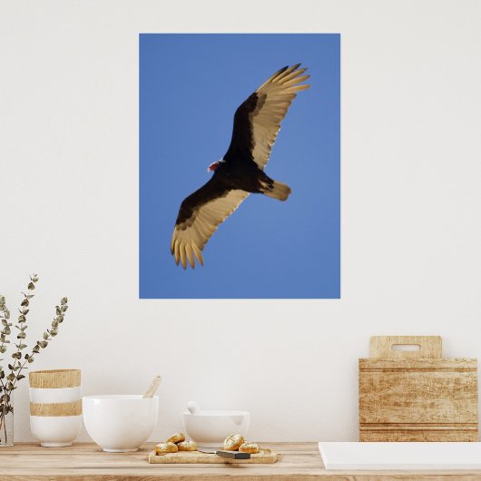 Turkije Vulture Poster (Keuken)