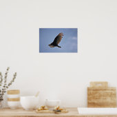 Turkije Vulture Poster (Keuken)