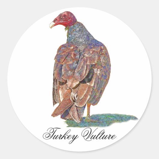 TURKIJE VULTURE RONDE STICKER (Voorkant)